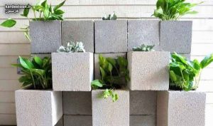 تزیین گل پتوس با ایده های خلاقانه و شیک