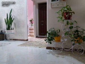 تزیین گل پتوس با ایده های خلاقانه و شیک