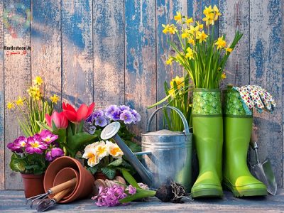 آماده سازی باغ برای بهار با معرفی 6 گل
