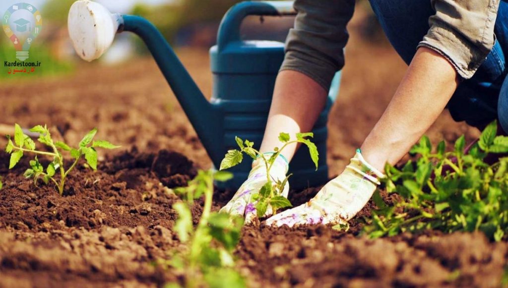 آماده سازی باغ برای بهار با معرفی 6 گل