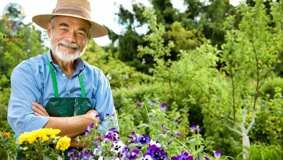 آماده سازی باغ برای بهار با معرفی 6 گل