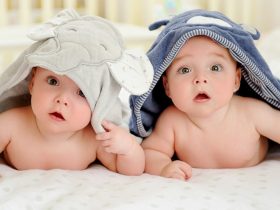 چه چیزی دوقلوها را یکسان می کند؟