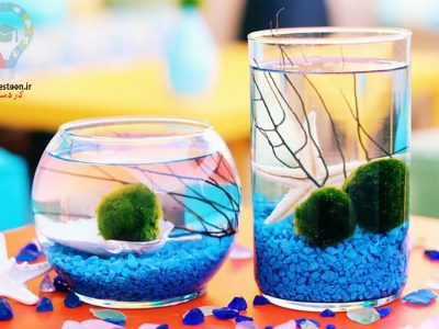 آموزش مرحله به مرحله ساخت آکواریوم گیاهی کوچک