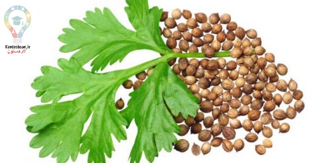 کشت پاییزه