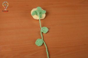 گل قلاب بافی