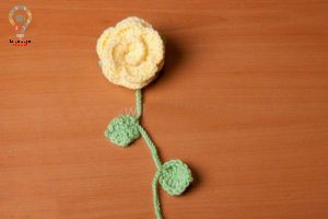 گل قلاب بافی