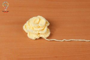 آموزش گل قلاب بافی ساده