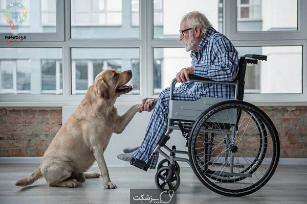 فعالیت برای سالمندان