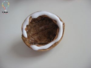 کاردستی با پوست گردو