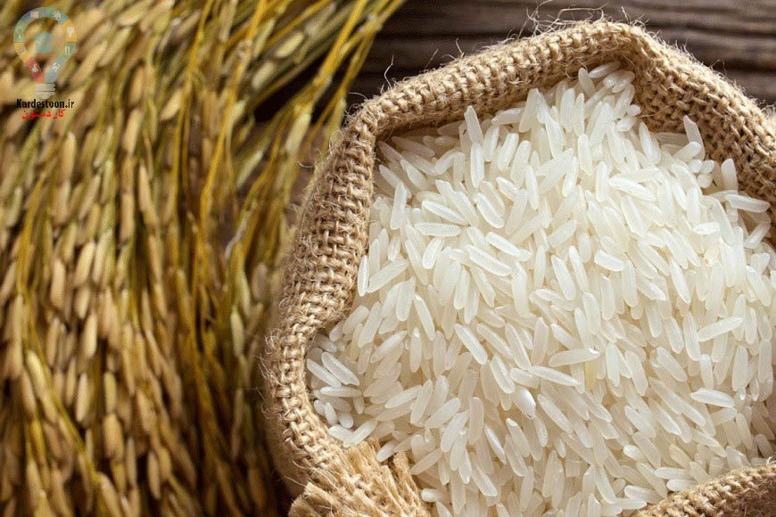 چگونه از شر حشره زدن برنج خلاص شویم؟