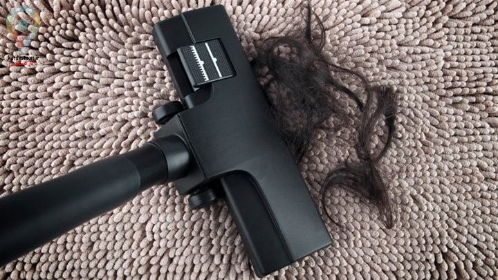 چگونه موها را از روی فرش جمع کنیم؟