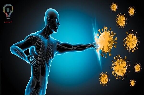 چطور سیستم ایمنی بدن را برای مقابله با کرونا بالا ببریم؟
