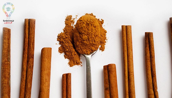 دارچین 