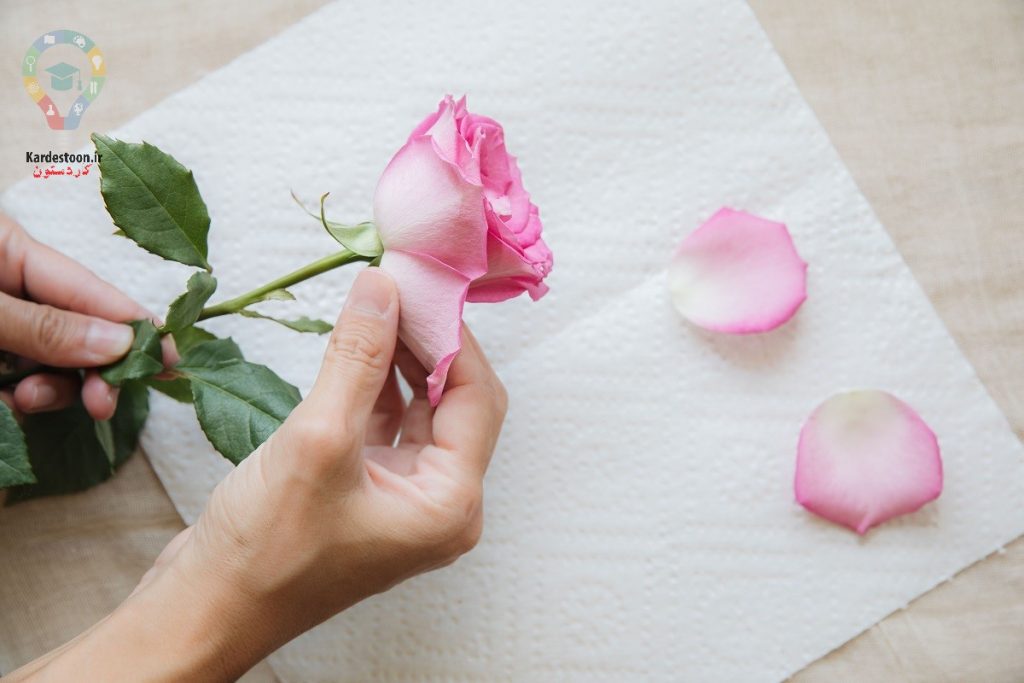 خشک کردن گل های طبیعی 