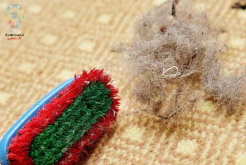 از بین بردن موی فرش