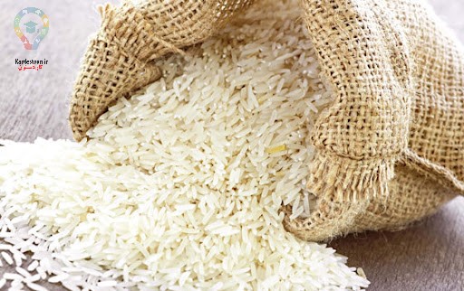 حشره زدن برنج