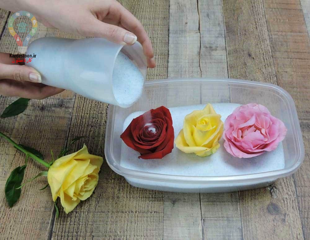 خشک کردن گل های طبیعی 