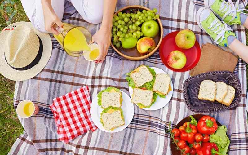 وسایل ضروری که برای رفتن به پیک نیک نیاز دارید
