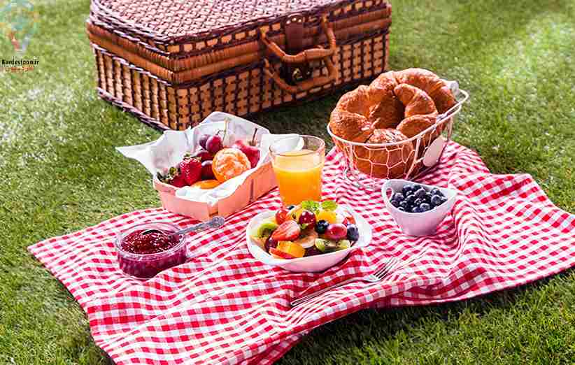 وسایل ضروری که برای رفتن به پیک نیک نیاز دارید