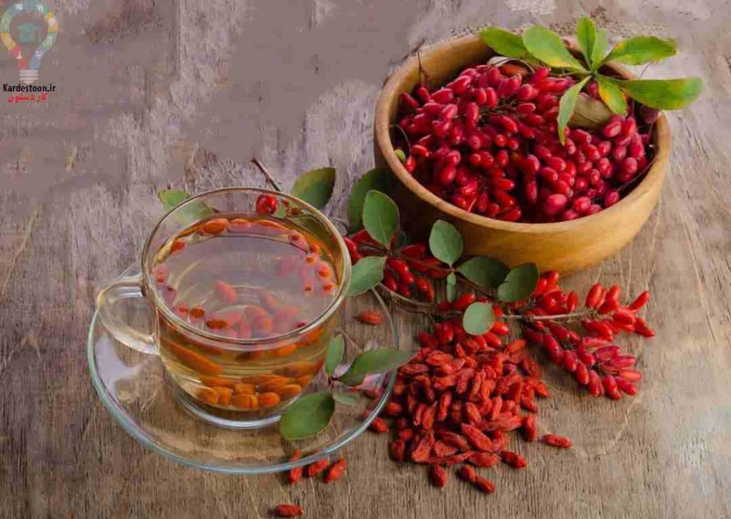 نحوه کاشت و پرورش گیاه زرشک زینتی