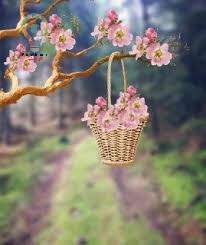 بیو عاشقانه خاص دلبری