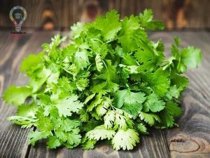 آشنایی با علائم چربی خون و روش های درمان آن