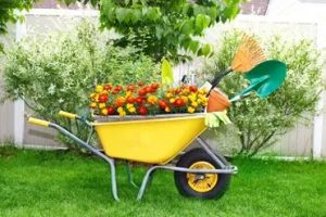 چند ایده جذاب برای زیبا کردن باغ یا باغچه