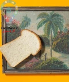 مانند یک حرفه ای خانه تان را گردگیری کنید