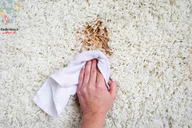 چگونه قهوه را از روی فرش پاک کنیم؟