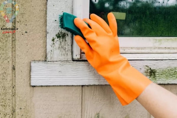 آموزش تمیز کردن کپک از روی چوب