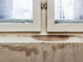 چطور بوی نم را درخانه از بین ببریم؟