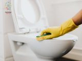 روش صحیح تمیز کردن توالت فرنگی