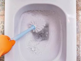 چگونه فرچه توالت را تمیز کنیم؟