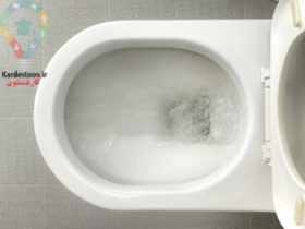 دلایل پرشدن توالت فرنگی