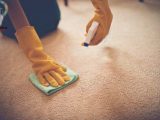 تمیز کردن لکه روغنی از روی فرش