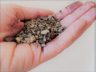 آیا میدانید خاک مناسب کاکتوس چگونه باید باشد؟