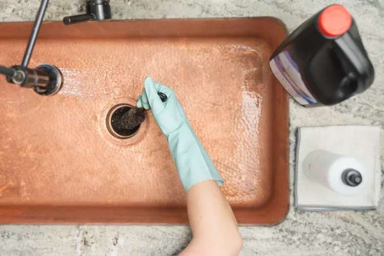 5 روش طبیعی برای دور نگه داشتن مگس ها از خانه