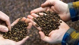 نکات مهم هنگام خرید قهوه با کیفیت