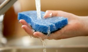 چگونه اسفنج ها ماندگاری بیشتری داشته باشند