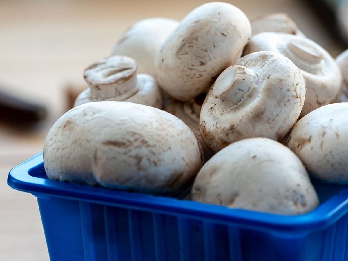 راه‌های جلوگیری از سیاه شدن قارچ‌های خام و سرخ شده