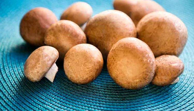 چگونه از سیاه شدن قارچ‌ها در فریزر جلوگیری کنیم؟