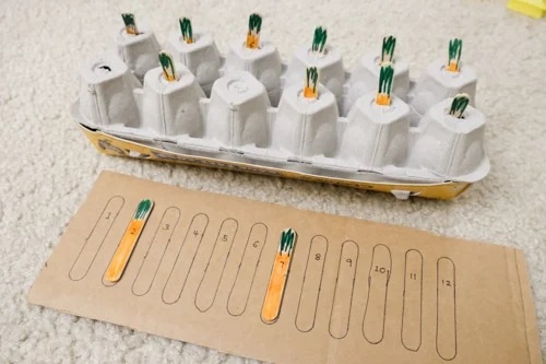 برداشت هویج‌های چوب بستنی و انجام تطبیق اعداد