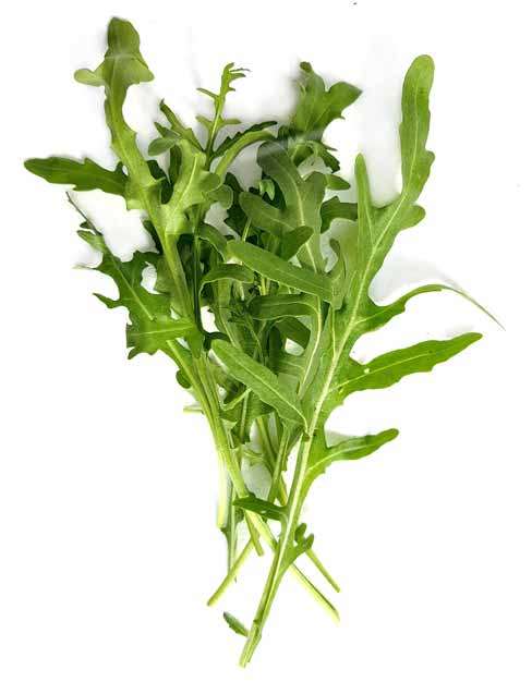 آرگولای خام