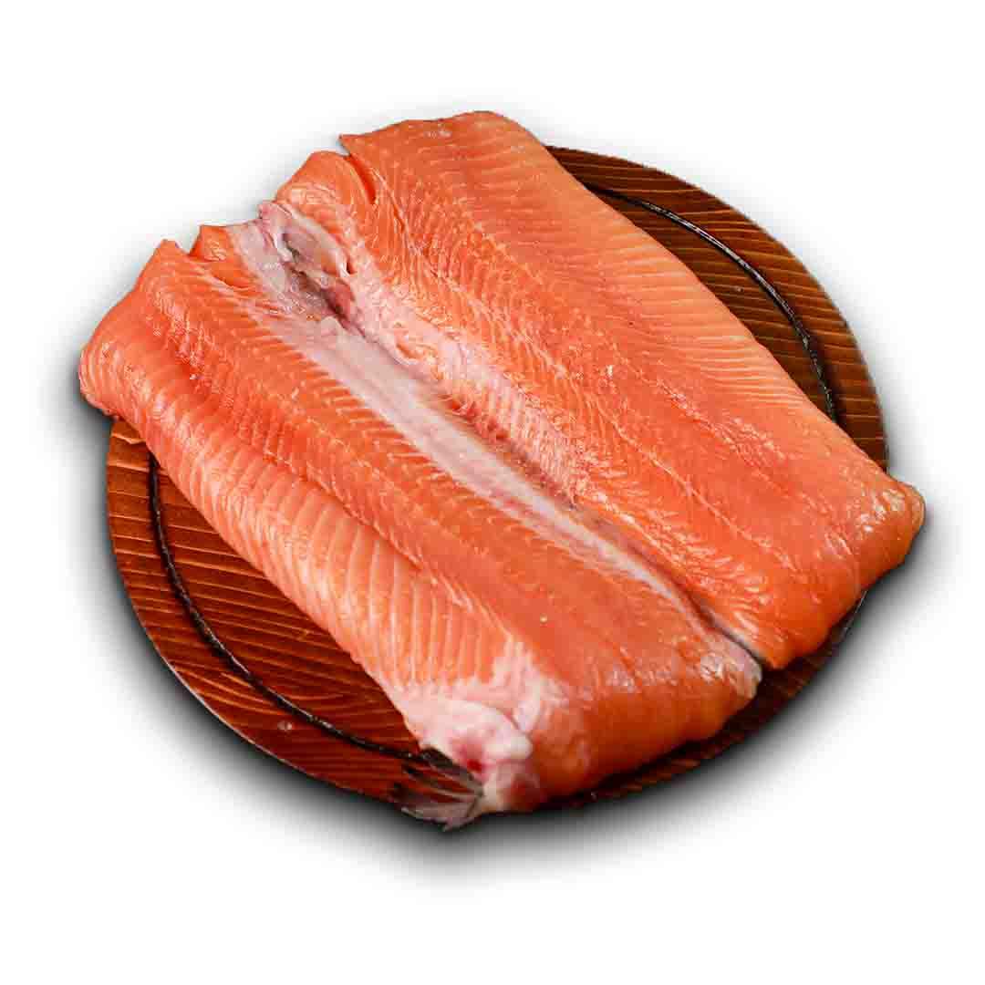 ماهی سالمون