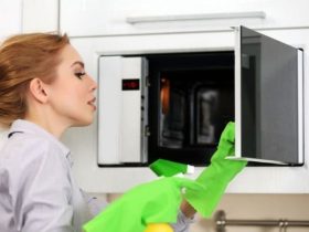 چگونه به راحتی مایکروویو را در خانه تمیز کنیم؟